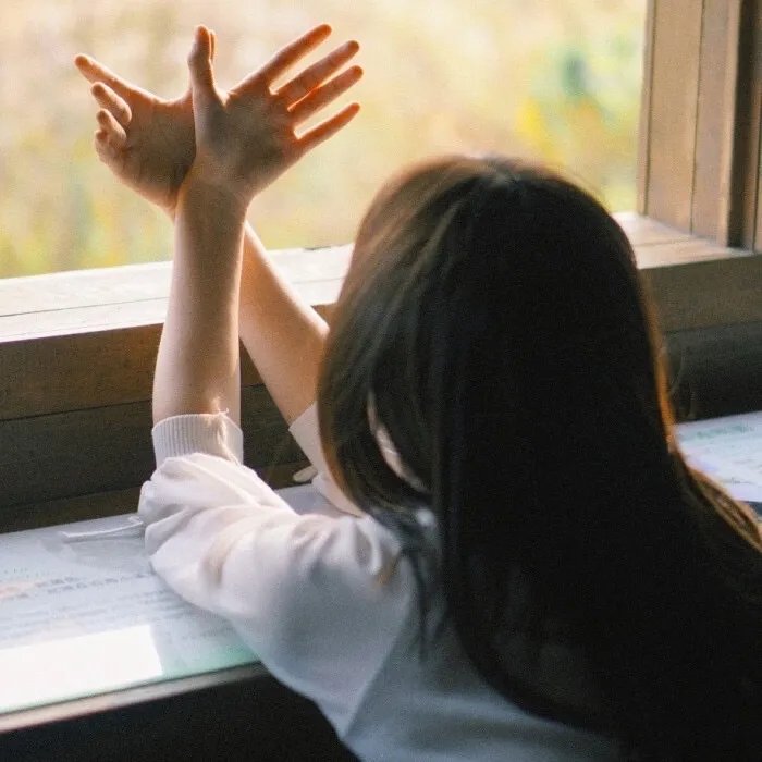 光荣之路上的狗